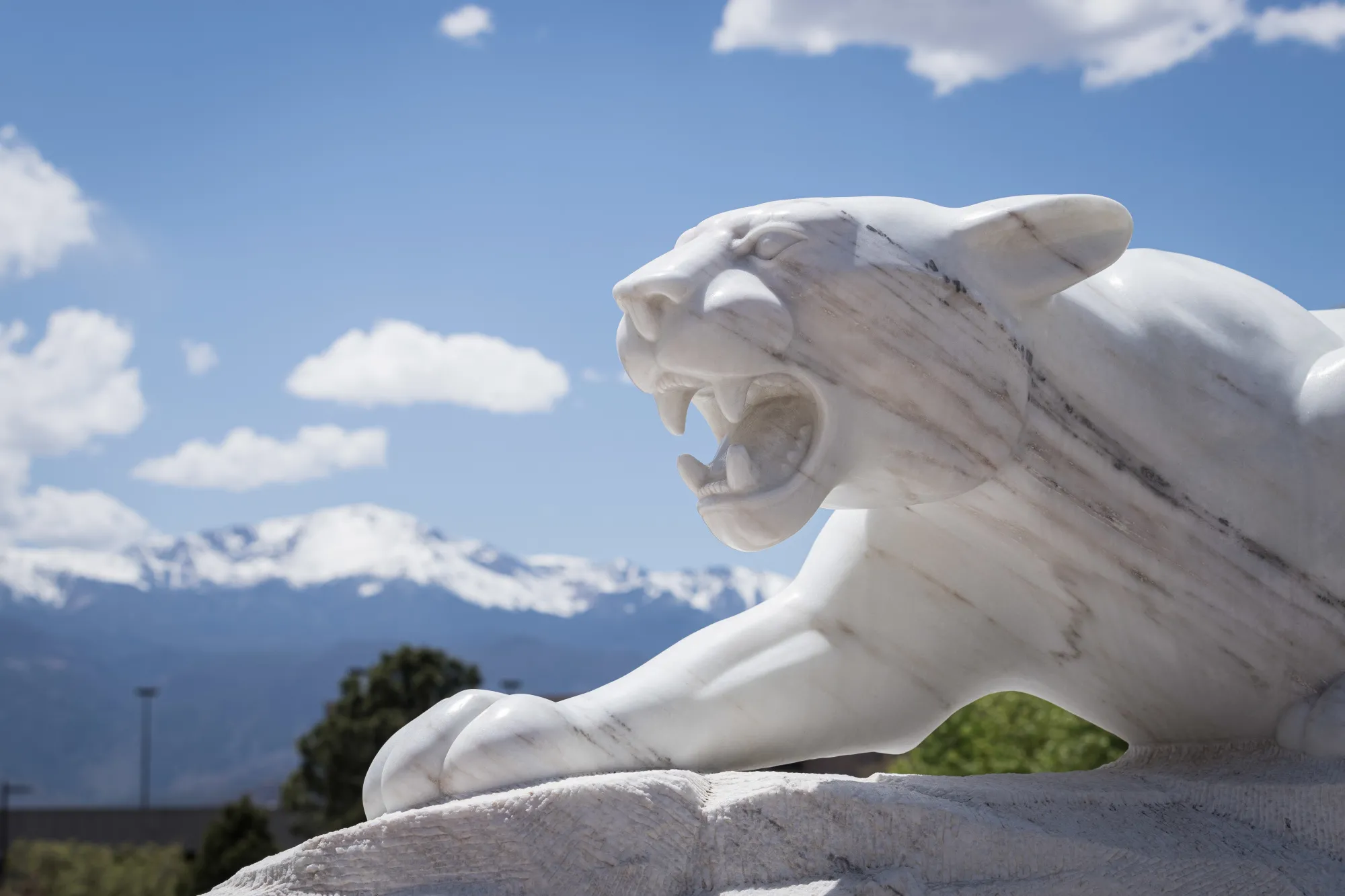 UCCS Mountain Lion Statue