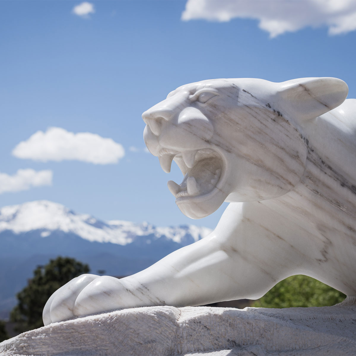 Mountain Lion Statue