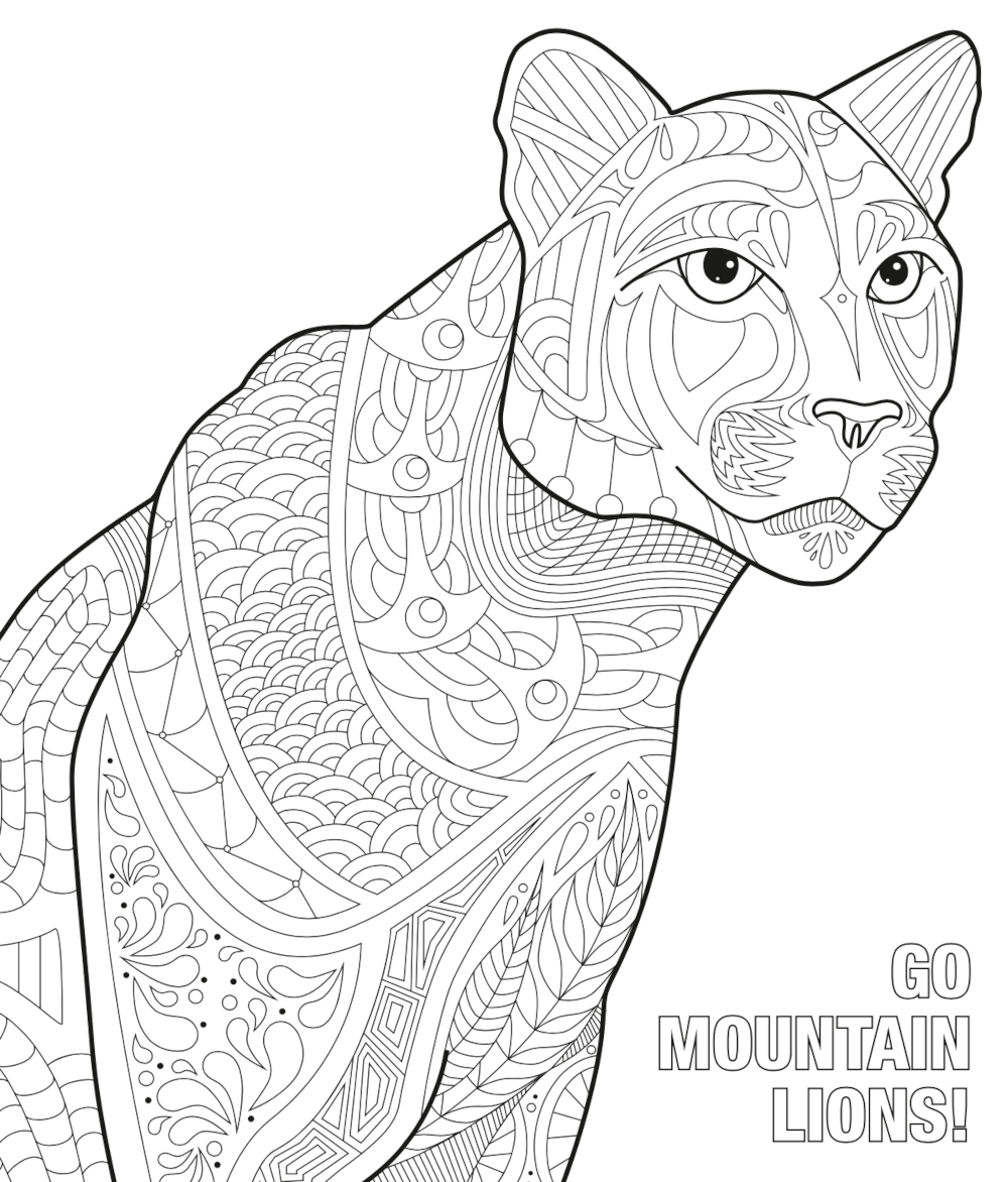 A decorative image showing the available mountain lion coloring sheet download